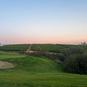 Meet your Posher, Allie